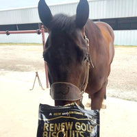 Thumbnail for Renew Gold Bisquits, All Natural Horse Treats, Coconut, Carrots, Apple & Cinnamon, 32oz