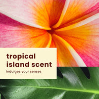 Thumbnail for Hawaiian Tropic Weightless Hydration Clear Spray Sunscreen SPF 15, 6oz | Hawaiian Tropic Sunscreen SPF 15, Sunblock, Oxybenzone Free Sunscreen, Spray On Sunscreen, Body Sunscreen Spray, 6oz