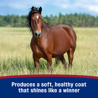 Thumbnail for Farnam Laser Sheen Dazzling Shine and Detangler Concentrate for Horses, Repels Dirt and Stains, Makes 1 Gallon of Spray, 12 fluid ounces