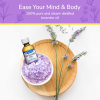 Thumbnail for De La Cruz Lavender Essential Oil Steam-Distilled - 100% Pure Lavender Oil for Aromatherapy 2 Fl Oz (Pack of 1)