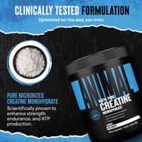 Thumbnail for Animal Creatine Monohydrate Powder – Micronized Creatine for Women and Men, Supports Muscle Growth, Strength, Endurance, Recovery and ATP Production, Gym & Workout Supplements - Unflavored, 300g