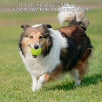 Thumbnail for SHYUJAJIE Tennis Balls, 20 Pack Training Tennis Balls,High Elasticity Practice Tennis for Beginner, Exercise Playing Balls for Pet Dog (Multicolour)