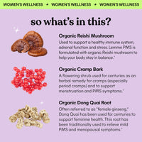 Thumbnail for Lemme PMS Hormone Balance for Women Liquid Drops, PMS & Mild Period Cramping Relief, 10-in-1 Herbal Blend with Raspberry Leaf, Dong Quai, Cramp Bark, Reishi & B2, Organic, Sugar-Free, 1 fl oz