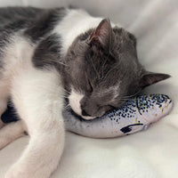 Thumbnail for SPOT Flippin' Fish Interactive Cat Toy with Catnip for Indoor Cats & Kittens - Touch Activated, Flipping Tail, Rechargeable with USB, Hours of Fun - 11.5 inch