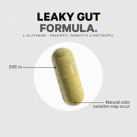 Thumbnail for Codeage Leaky Gut, L-Glutamine for Gut Health Support, N-Acetylglucosamine Supplement, Probiotic, Butyric Acid, Polyphenols, Quercetin, DGL, Berberine, BioPerine, Cinnamon, Vegan, Non-GMO - 2 Pack