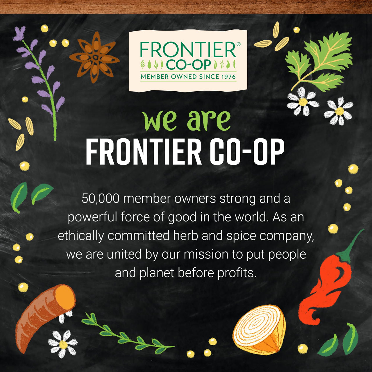 Frontier Co-op Chili Powder Blend, Fiesta, 1.76 oz
