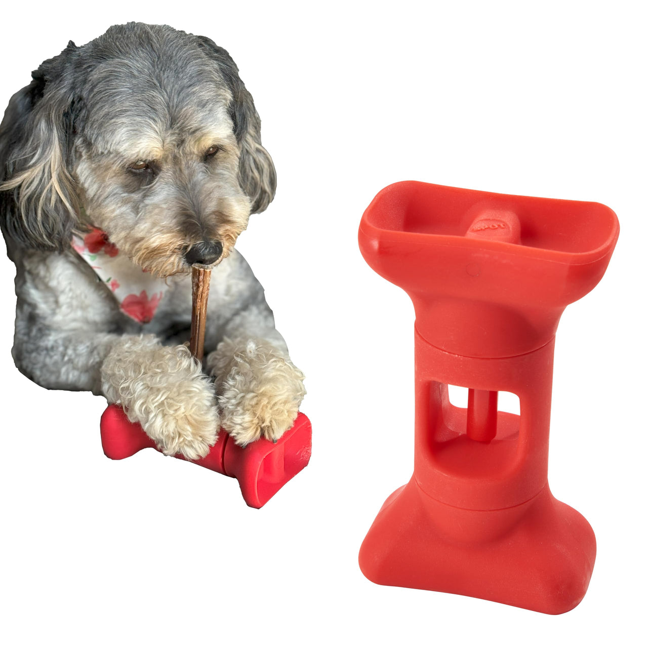 SPOT Treat Holder- Safety Device Bully Stick Holder & Yak Cheese Holder for Medium and Large Dogs, to Help Prevent Choking, 6in