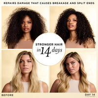 Thumbnail for Pantene Pro-Vitamin Essence, Daily Repair Mist, Weightless Leave-On Treatment Strengthens & Rebuilds Damaged Hair, Reduces Breakage, 2.5 Fl Oz