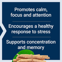 Thumbnail for Life Extension Ashwagandha Plus Calm & Focus, ashwagandha Extract, Spearmint Extract, Focus, Attention, Relaxation, Advanced Formula, 60 Vegetarian Capsules