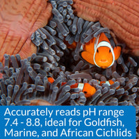 Thumbnail for API HIGH RANGE PH TEST KIT 160-Test Freshwater and Saltwater Aquarium Water Test Kit