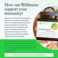 Thumbnail for Youtheory Immune+ Daily Wellness - Vegetarian Immune Support Supplement with Vitamin C, Vitamin D3 & Zinc* - Mushroom Supplement with Turkey Tail, Cordyceps & Reishi - 60 Vegetarian Caps