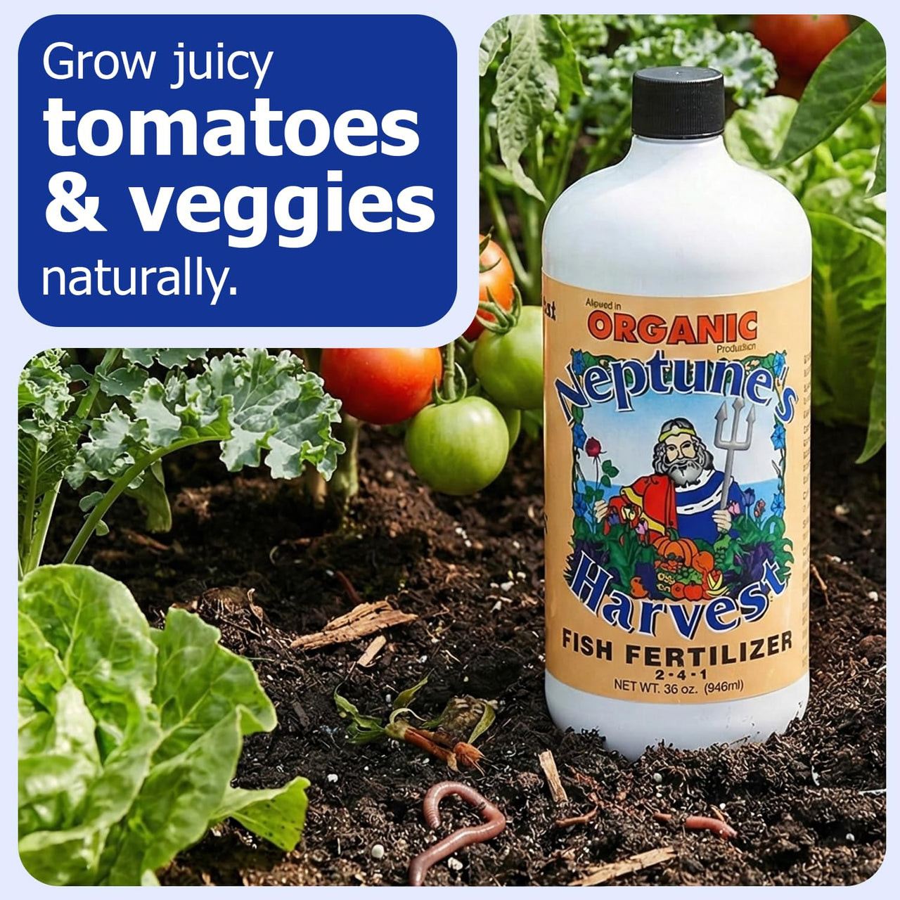 Neptune's Harvest Fish Fertilizer (2-4-1) - 36oz Bottle - Organic Liquid Plant Fertilizer - Fish Hydrolysate for Vegetables, Flowers, Fruit, Trees, Grass - Indoor and Outdoor Plant Food