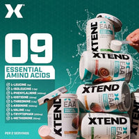 Thumbnail for Image 11 of Xtend EAA + BCAA Powder