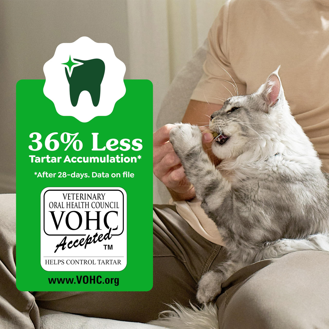 Greenies Cat Treats, Feline Veterinarian-Recommended Adult Natural Dental Treats, Catnip Flavor, 21 oz. Tub