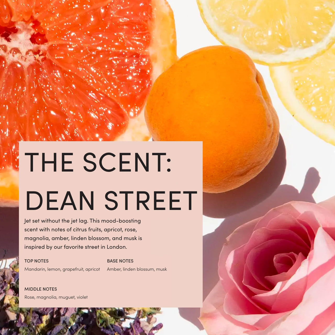 OUAI Body Cleanser, Dean Street - Foaming Body Wash with Jojoba Oil and Rosehip Oil to Hydrate, Nurture, Balance and Soften Skin - Paraben, Phthalate and Sulfate Free Skin Care Products (10 Fl Oz)