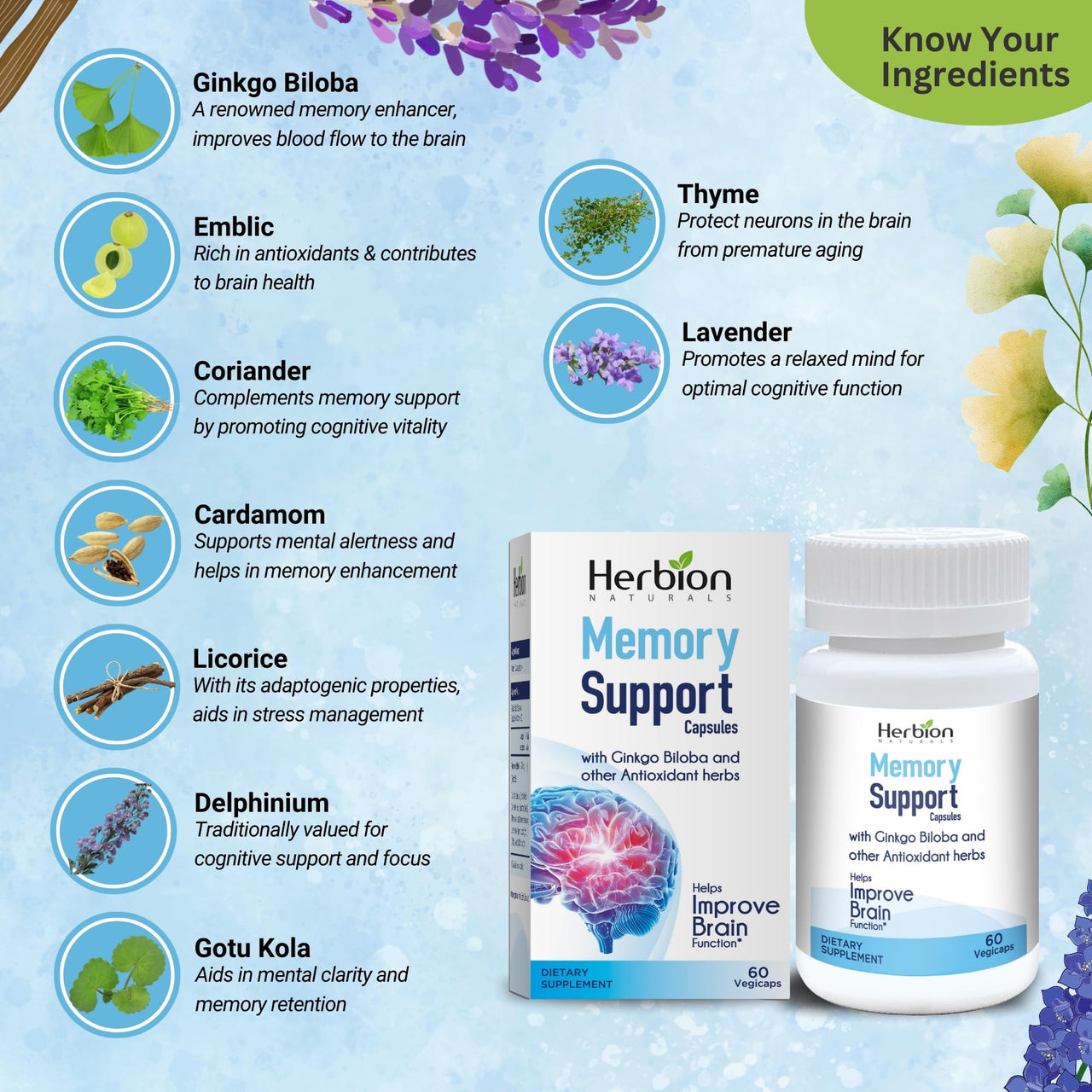 HERBION Naturals Memory Support Capsules, Helps Improve Brain Function & Absent Mindedness, Maintains Healthy Mood Levels with Ginkgo Biloba, for Adults, 60 Count, Pack of 1