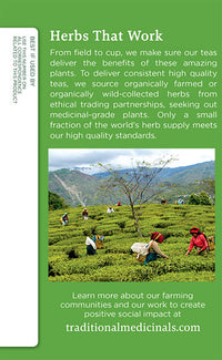 Thumbnail for Traditional Medicinals Organic Green Tea Ginger Herbal Tea, Promotes Healthy Digestion, (Pack of 1) - 16 Tea Bags