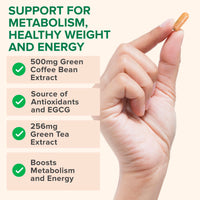 Thumbnail for Zenwise Health EGCG Green Tea Extract Capsules with Coffee Bean Extract - 50% EGCG + 98% Polyphenols Supplement - Green Tea Pills for Skin and Heart Support + Brain Health and Memory Boost - 60 Count