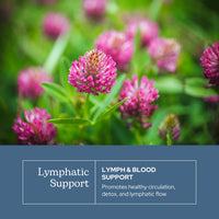 Thumbnail for Eclectic Herb - Lymph & Blood Cleanse | Lymphatic & Circulatory Support | Freeze Dried, Concentrated Herbal Supplement | Natural, Wildcrafted, Non-GMO, Gluten Free, Vegan (45 CT | 285 mg)