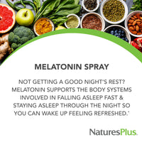 Thumbnail for NaturesPlus Melatonin Spray, Natural Peppermint Flavor - 2 fl oz - with Vitamin B6 & E - Vegetarian, Gluten Free - 80 Servings
