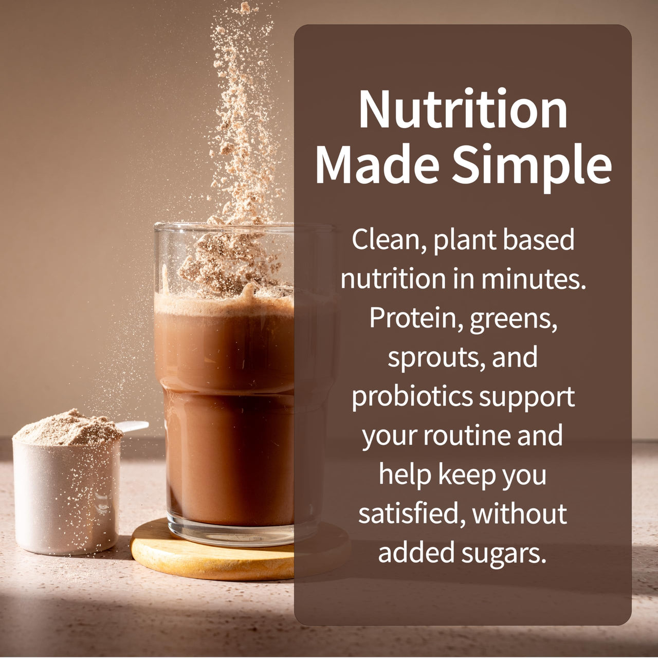 Garden of Life Meal Replacement Shakes, Raw Organic, Chocolate Protein Powder with Plant Based Pea Protein, Sprouts, Greens, Probiotics, Dairy Free 28 Servings