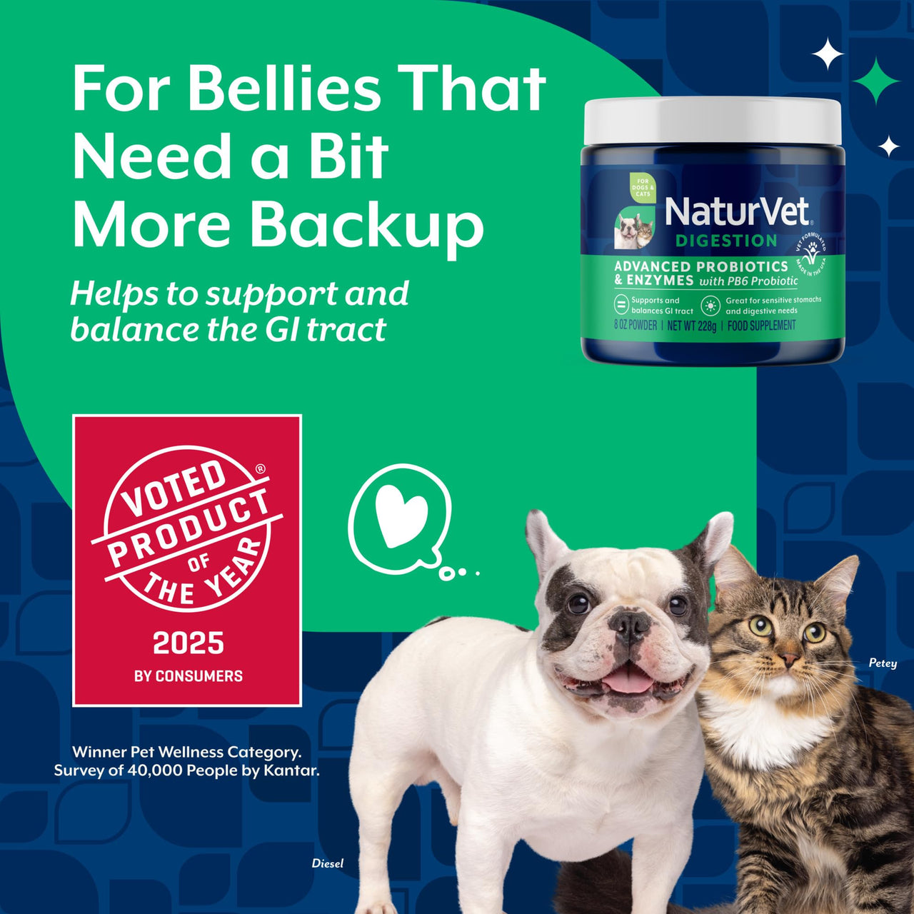NaturVet – Advanced Probiotics & Enzymes - Plus Vet Strength PB6 Probiotic | Supports and Balances Pets with Sensitive Stomachs & Digestive Issues | for Dogs & Cats (8 oz)