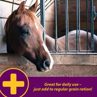 Thumbnail for Farnam Horse Health Apple-Dex Apple Flavored Electrolytes for Horses 5 pound