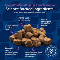Thumbnail for NaturVet Hemp Aches & Discomfort Plus Hemp Seed for Dogs, 60 ct Soft Chews, Made in The USA