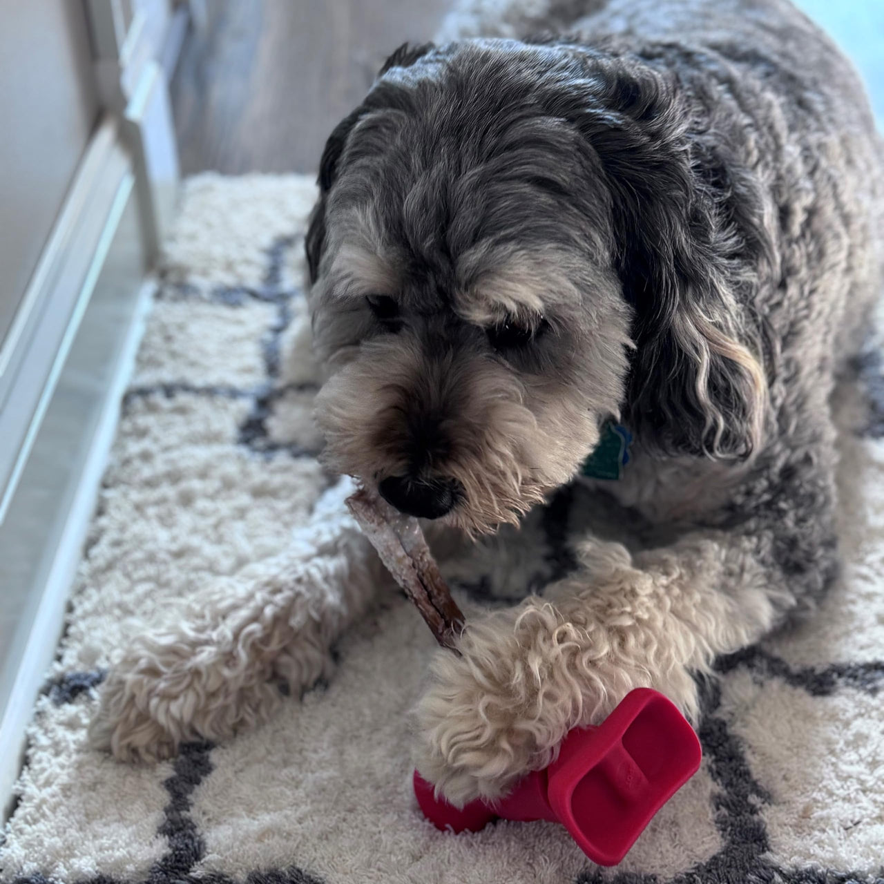 SPOT Treat Holder- Safety Device Bully Stick Holder & Yak Cheese Holder for Small and Medium Dogs, to Help Prevent Choking, 4.5in