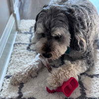 Thumbnail for SPOT Treat Holder- Safety Device Bully Stick Holder & Yak Cheese Holder for Small and Medium Dogs, to Help Prevent Choking, 4.5in
