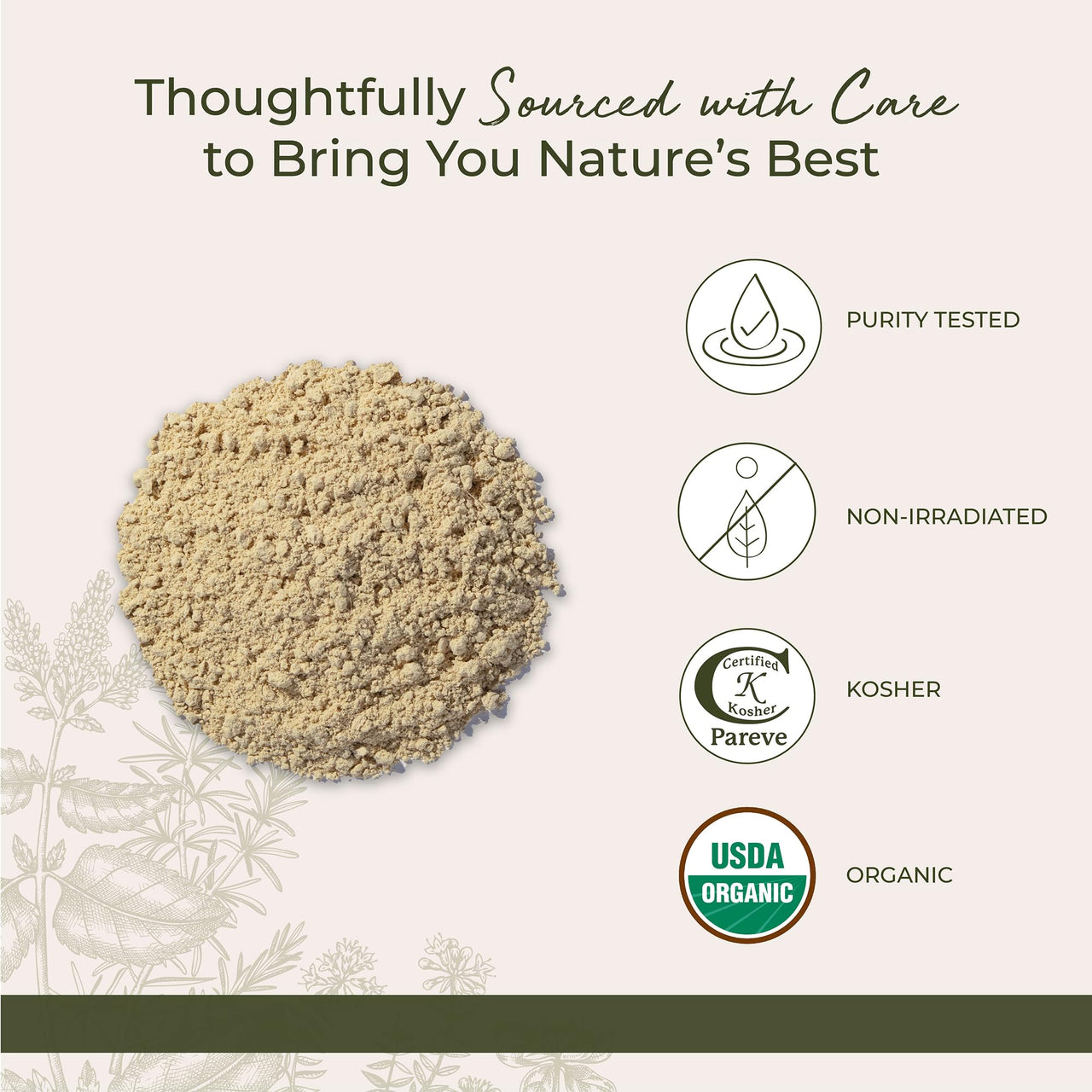 Starwest Botanicals Organic Ginger Root Powder - Ground Ginger Herb for Tea, Baking, & Cooking, Natural Herbal Spice, Certified Kosher, Non-GMO - Bulk 1 lb Bag