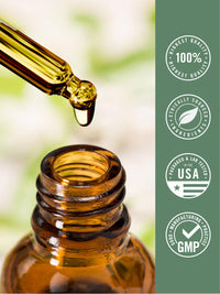 Thumbnail for Carlyle Organic Oil of Oregano Liquid Drops | 2 fl oz | Vegan Herbal Supplement | Non-GMO, Gluten Free