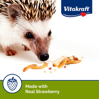 Thumbnail for Sunseed Vita Prima Wigglers & Berries Hedgehog Treats - High-Protein Berry Mix for Hedgehogs - Ideal Daily Supplement for Enhancing Your Hedgehog's Diet
