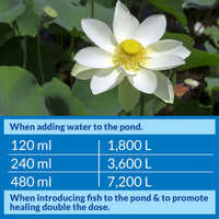 Thumbnail for API POND STRESS COAT Pond Water Conditioner 16-Ounce Bottle
