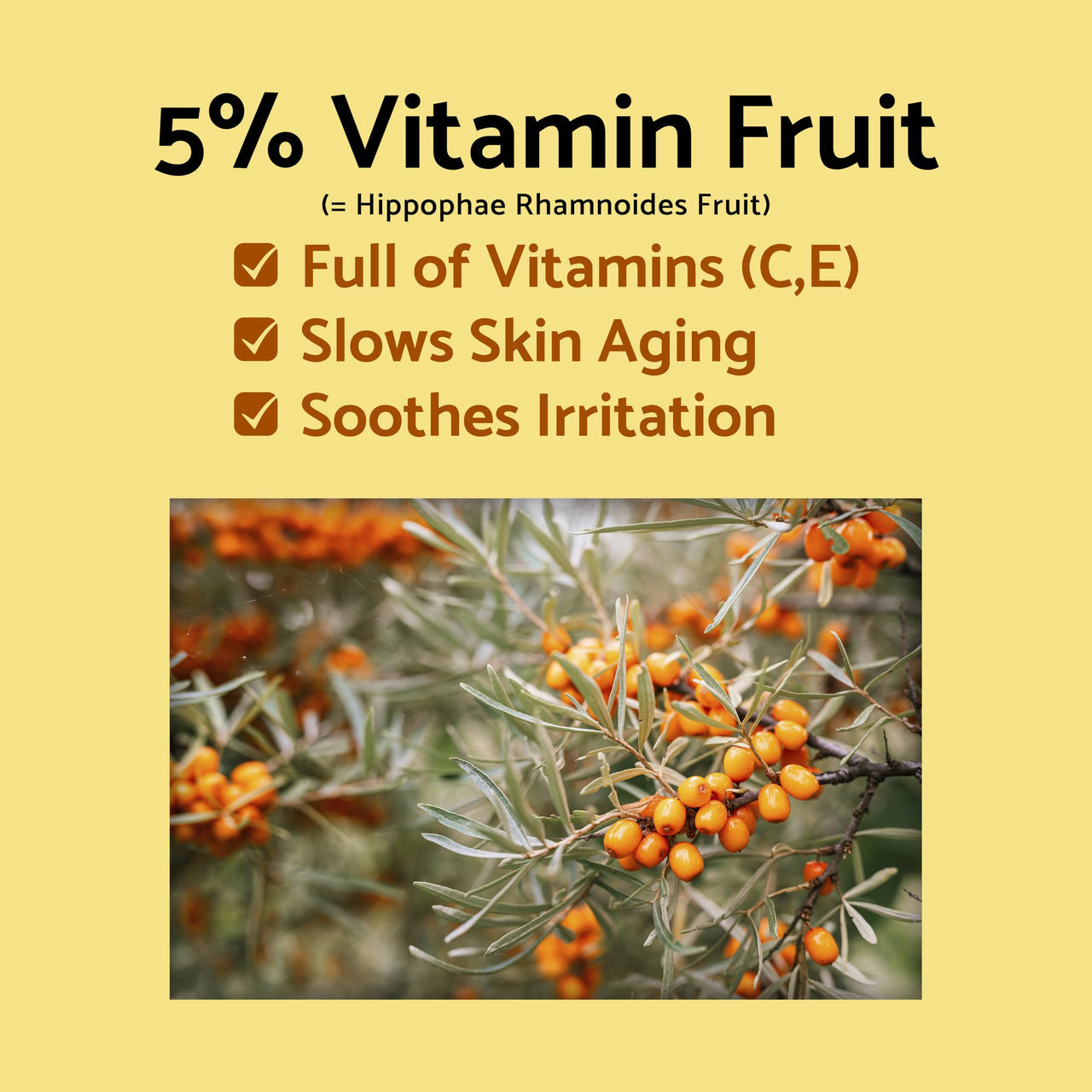 IUNIK Vitamin C Vegan Face Toner with 45% Hyaluronic Acid Facial Moisturizer 6.7 Fl Oz - Nourishing Hydrating Sensitive Vitalizing Sensitive Dry Skin Deep Nourishing