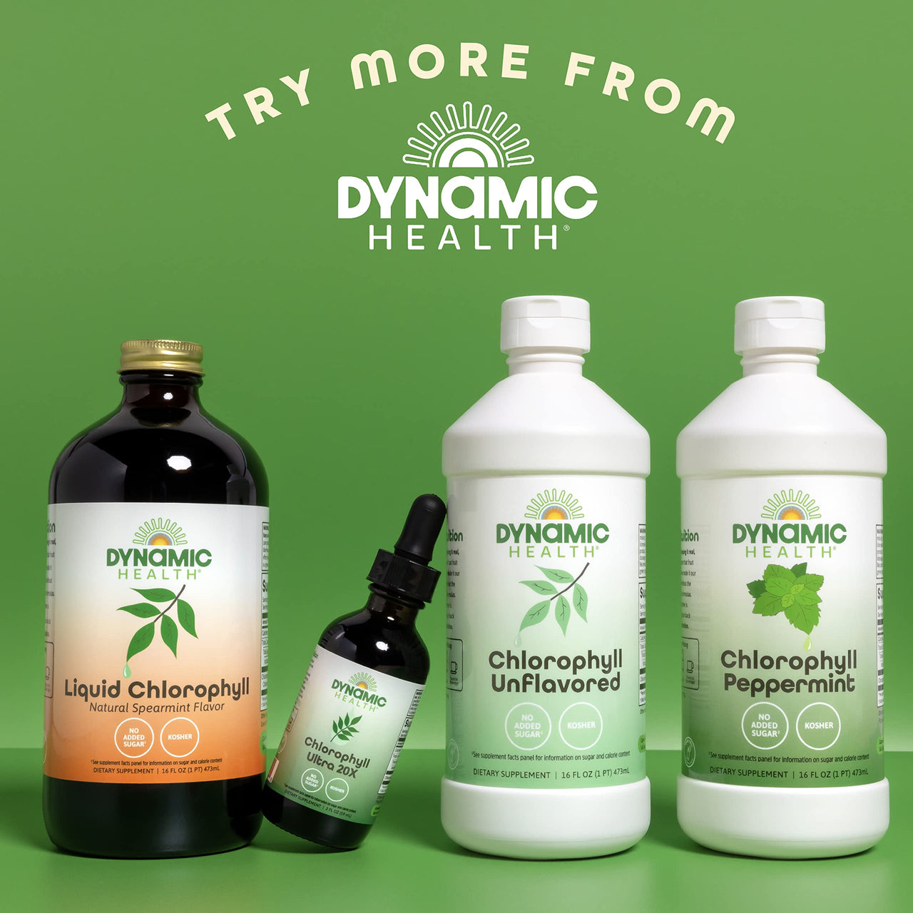 Dynamic Health Liquid Chlorophyll Unflavored 100 mg, Sodium Copper Chlorophyllins with Alfalfa and Mulberry Leaves, Plant Cleanse and Deodorizing, No Added Sugar, 16 Fl Oz