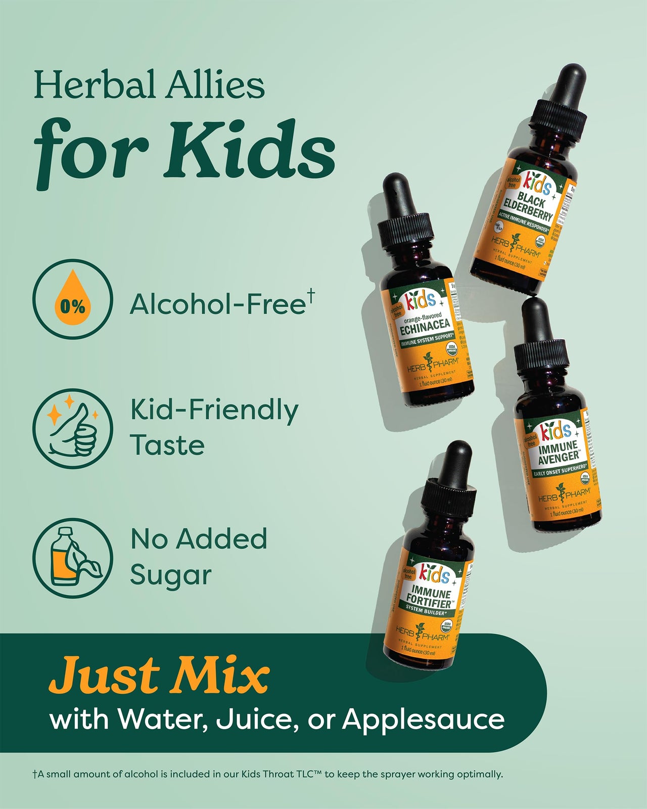 Herb Pharm Kids Certified-Organic Alcohol-Free Black Elderberry Glycerite Liquid Extract Drops, 1 Oz
