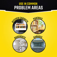 Thumbnail for Black Flag Pantry Pest Trap 2 Count, Insect Traps, Safe For Use In Kitchens And Pantries