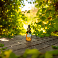 Thumbnail for Herb Pharm Kids Echinacea Extract Alcohol-Free Certified Organic Liquid Herbal Supplement for Kids, Immune Support Drops for Toddlers & Children, Non-GMO, Vegan, Echinacea Purpurea Root, 1 fl oz