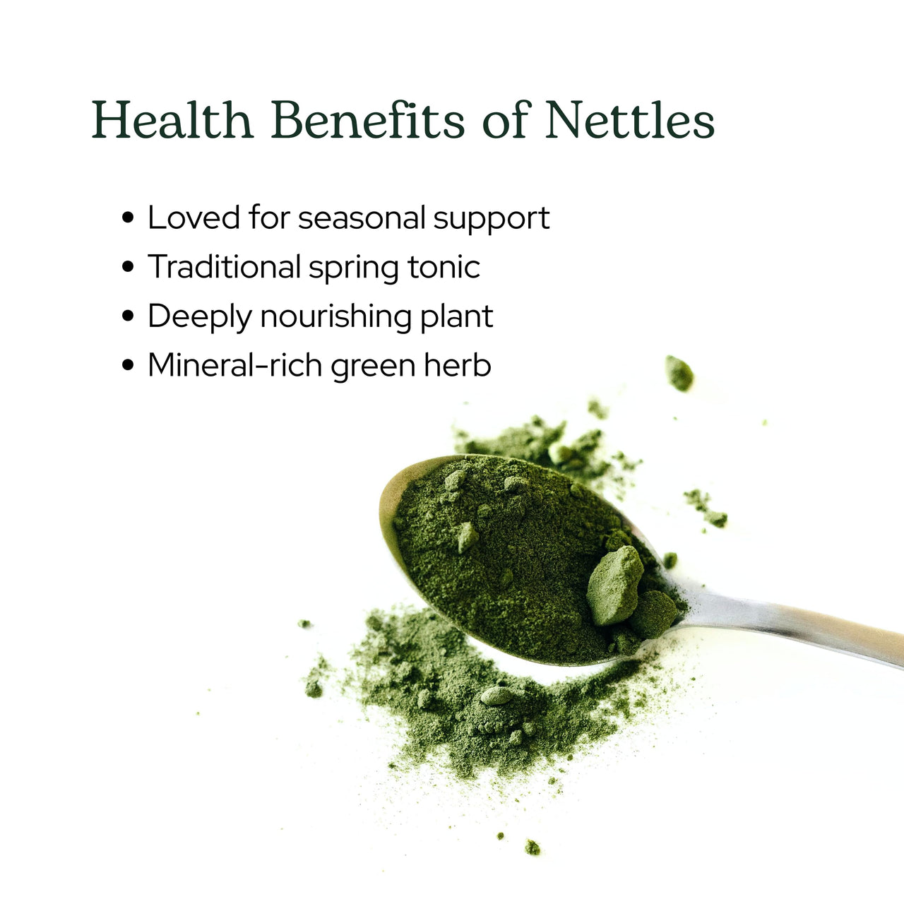 Eclectic Herb - Nettle Leaf Powder Supplement | Supports Sinuses + Immune Response | Urtica Dioica Natural Herbal Supplement | Vegan, Whole Herb, Raw, Non-GMO (2.1 oz | 60 g)