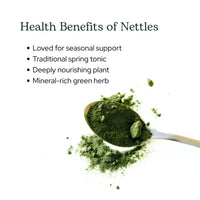 Thumbnail for Eclectic Herb - Nettle Leaf Powder Supplement | Supports Sinuses + Immune Response | Urtica Dioica Natural Herbal Supplement | Vegan, Whole Herb, Raw, Non-GMO (2.1 oz | 60 g)
