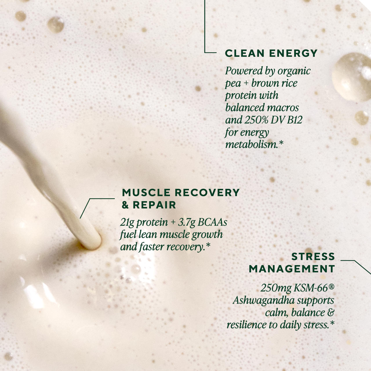 OM MUSHROOM SUPERFOOD Master Blend Vegan Protein â€“ Creamy Vanilla Plant Protein with 10 Mushrooms, Ashwagandha, BCAAs & B12 â€“ Energy, Recovery & Immune Support â€“ 1.2 lb (16 Servings)