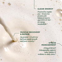 Thumbnail for OM MUSHROOM SUPERFOOD Master Blend Vegan Protein â€“ Creamy Vanilla Plant Protein with 10 Mushrooms, Ashwagandha, BCAAs & B12 â€“ Energy, Recovery & Immune Support â€“ 1.2 lb (16 Servings)
