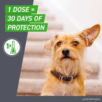 Thumbnail for Frontline Plus for Dogs Large Dog (45 to 88 pounds) Flea and Tick Treatment, 6 Doses