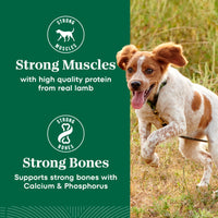 Thumbnail for Nutro Natural Choice Small Bites Dry Dog Food, Adult Dog Food Dry Lamb & Brown Rice Recipe, 5 lbs.