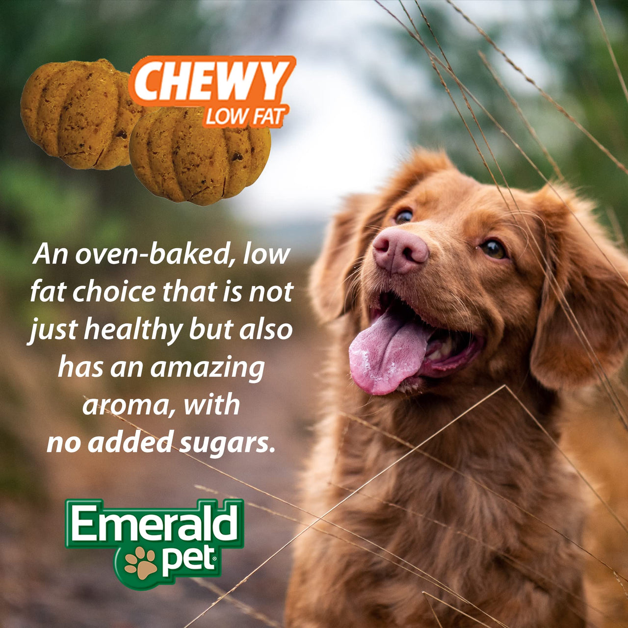 Emerald Pet Pumpkin Harvest Dog Treats — Low-Fat Chewy Natural Treats with Pumpkin for Digestive Health — Meat Free, Poultry Free, Wheat Free — Apple, 6 oz