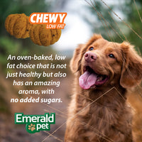 Thumbnail for Emerald Pet Pumpkin Harvest Dog Treats — Low-Fat Chewy Natural Treats with Pumpkin for Digestive Health — Meat Free, Poultry Free, Wheat Free — Apple, 6 oz