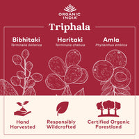 Thumbnail for ORGANIC INDIA Triphala Capsules Organic - Herbal Supplement with Amla, Bibhitaki, Haritaki, Digestion & Colon Support, Immune System Support, Adaptogen, Vegan, USDA Certified Organic - 180 Capsules