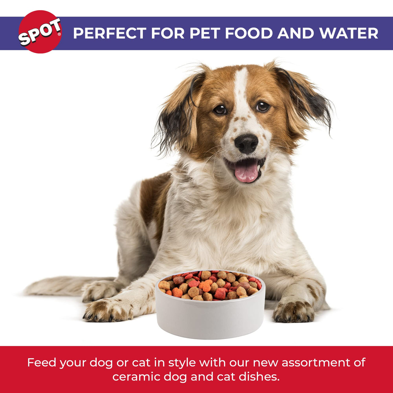 SPOT Ceramic Stoneware- Pet Bowl for Medium and Large Dogs, Classic Heavy Duty Non-Slip Ceramic Bowl for Food and Water - 7.5in Diameter