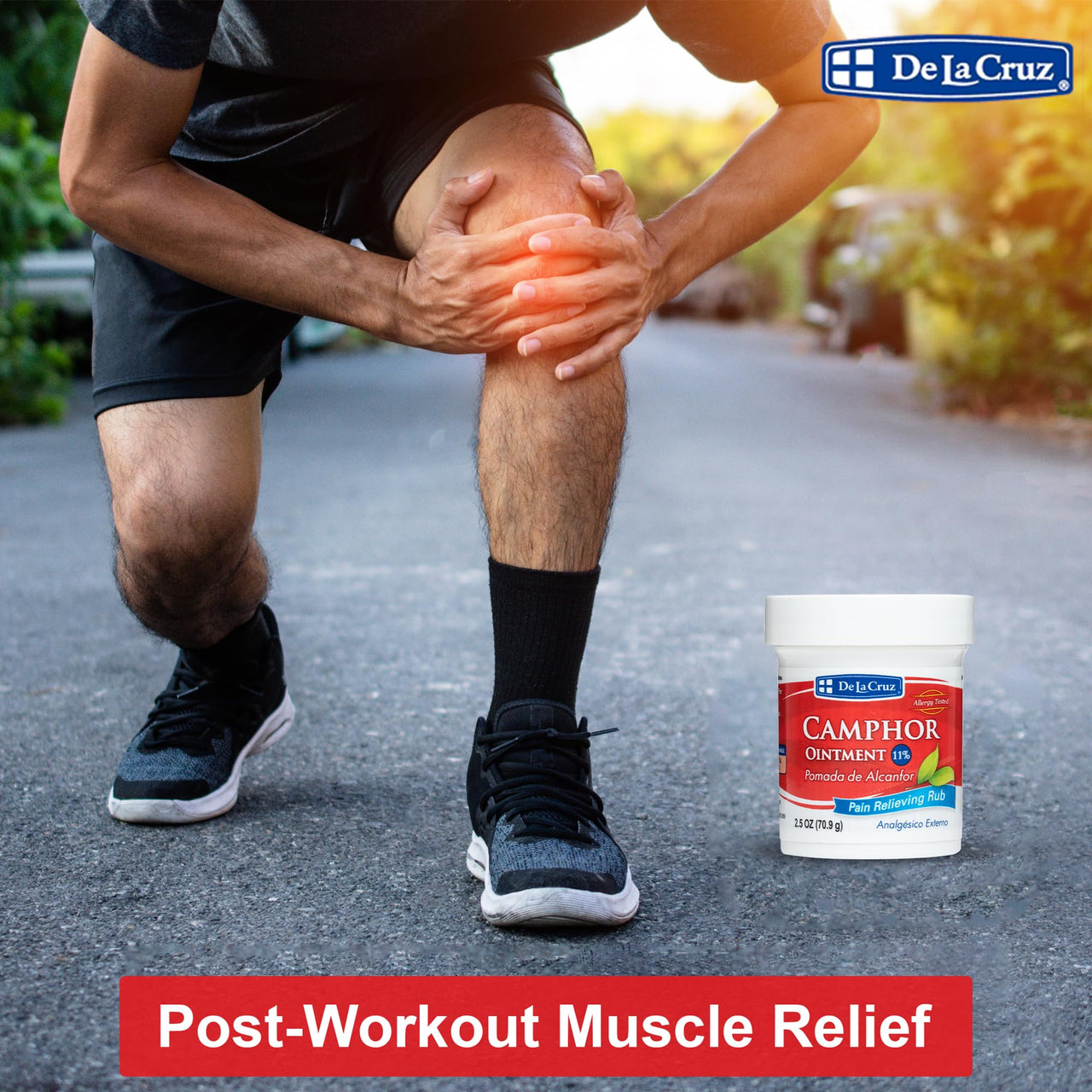 De La Cruz Cream - Maximum Strength Muscle and Joint Camphor Ointment to Reduce Pain 11% (2.5 oz (Pack of 2))